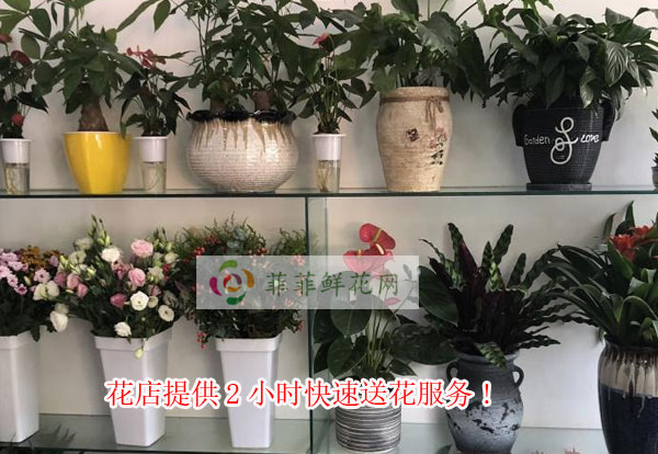 铜川王益区花店提供铜川王益区2小时快速送花服务